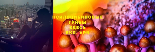 дживик Осинники