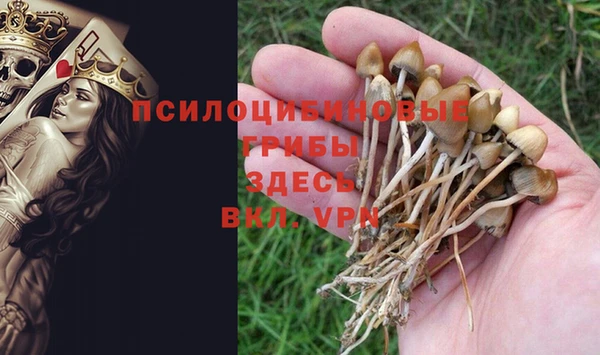 МДМА Осташков