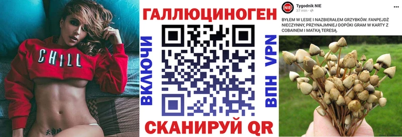 Галлюциногенные грибы GOLDEN TEACHER  Богучар 